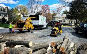 Best Sod Installation  in Sistersville, WV