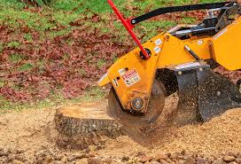 Best Tree Risk Assessment  in Sistersville, WV